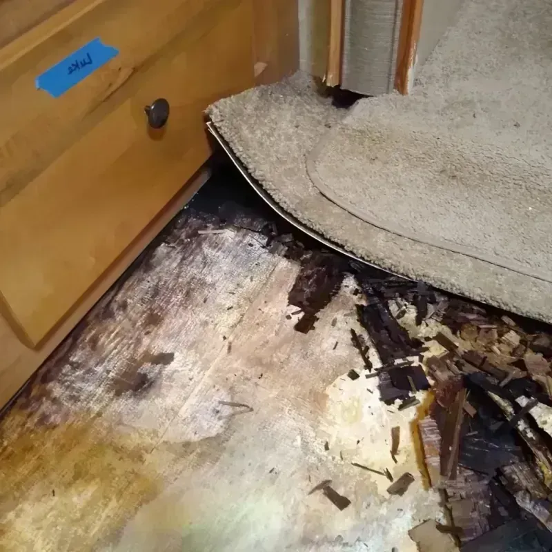 Wood Floor Water Damage in McFarland, WI